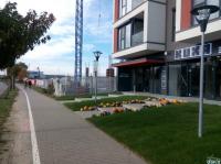 Imagine atasata: opv,ant,sct-20.oct.2016-044.jpg